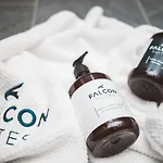Falcon - Summercard Included * Kaprun